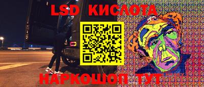 крисы Абакан