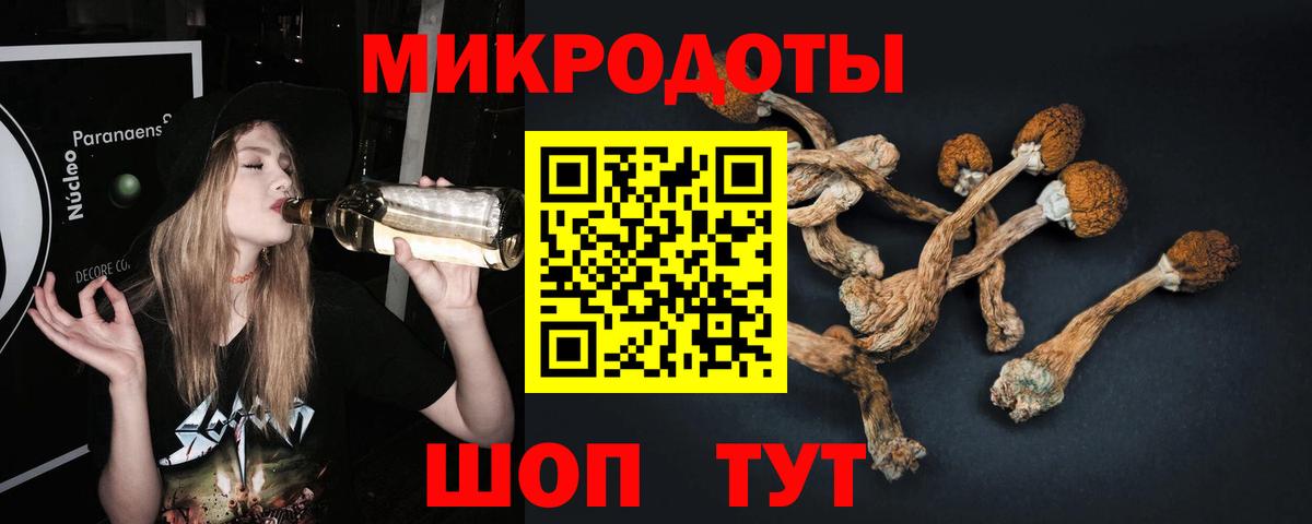 Псилоцибиновые грибы Cubensis Алатырь